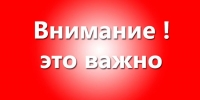 В Развилке вандалы украли скамейки и урны