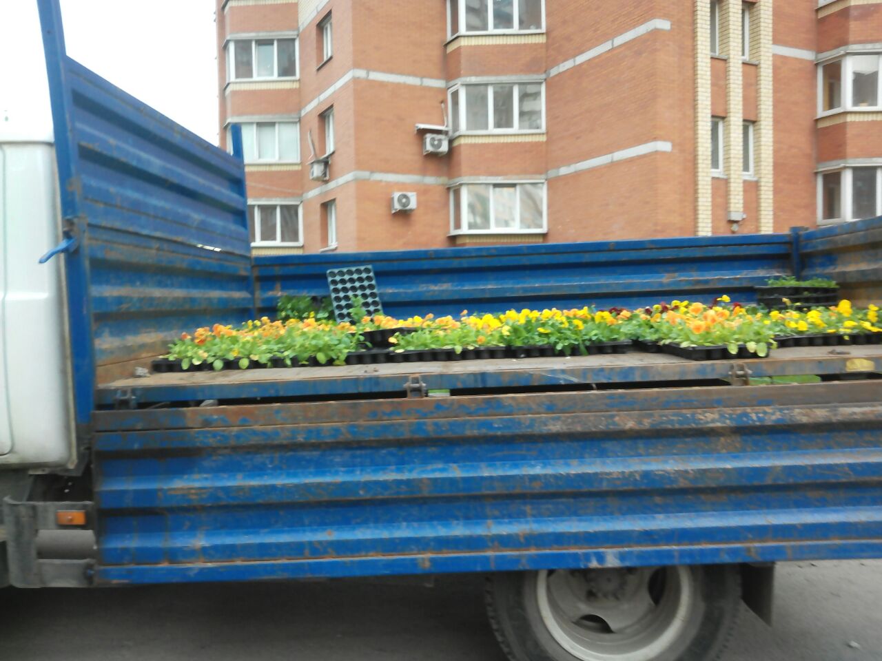 В рамках работ по благоустройству