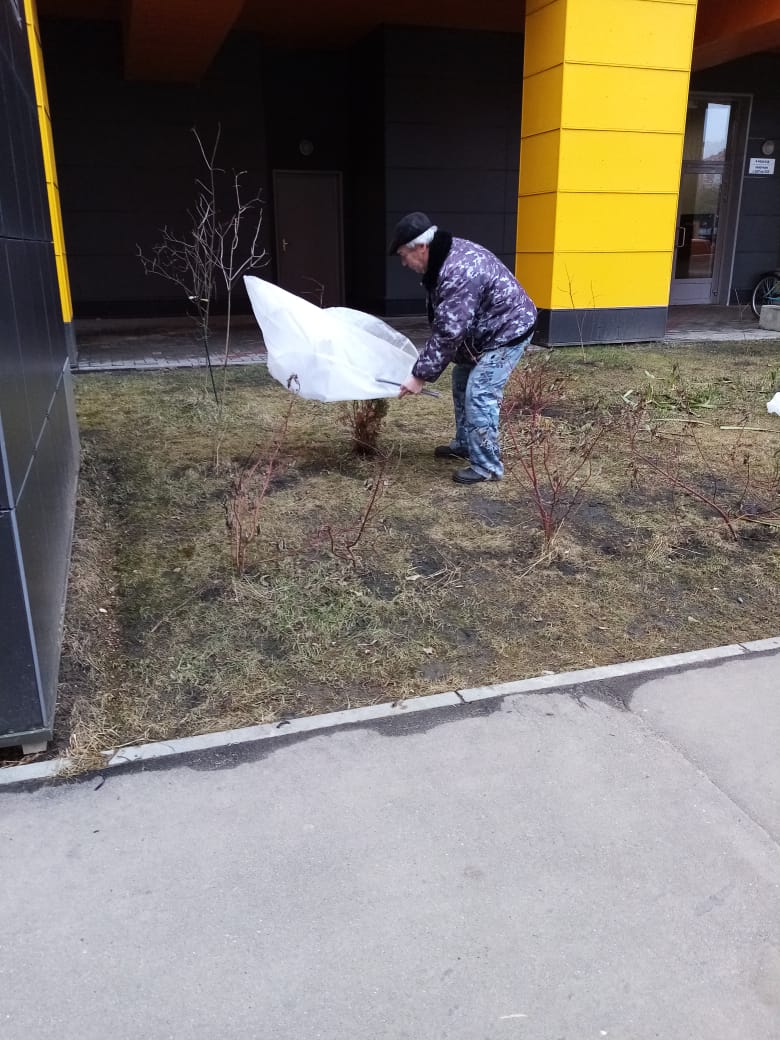 Одной из актуальных задач стало своевременное утепление вечнозеленого дерева туи и защита от прилипания снега и других неблагоприятных факторов холодного времени года.