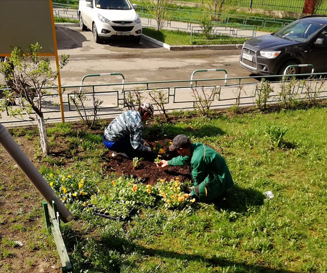 благоустройство территории