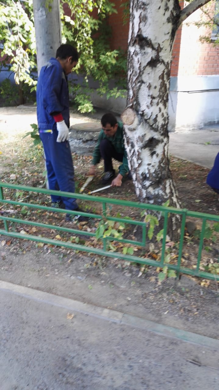 В рамках работ по благоустройству придомовой территории выполнена обрезка и удаление сухих, аварийных ветвей деревьев и кустарников по адресу: п.Развилка, д.41, корп.2