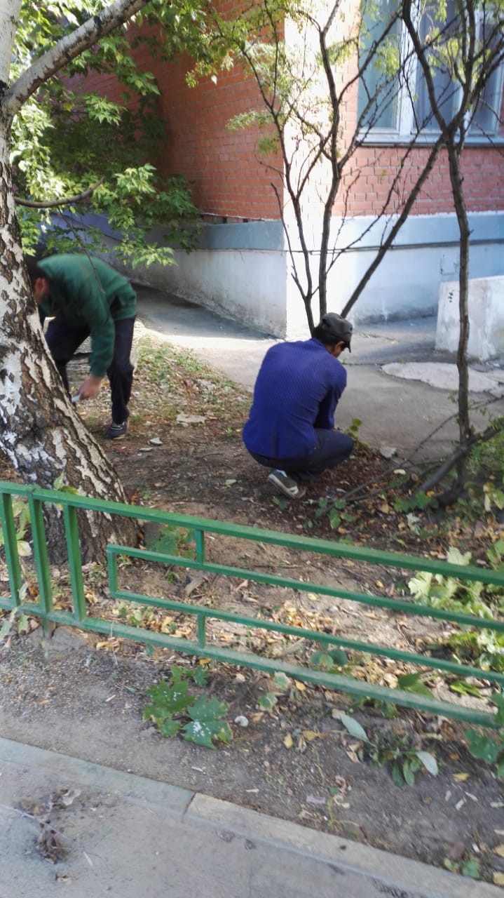 В рамках работ по благоустройству придомовой территории выполнена обрезка и удаление сухих, аварийных ветвей деревьев и кустарников по адресу: п.Развилка, д.41, корп.2