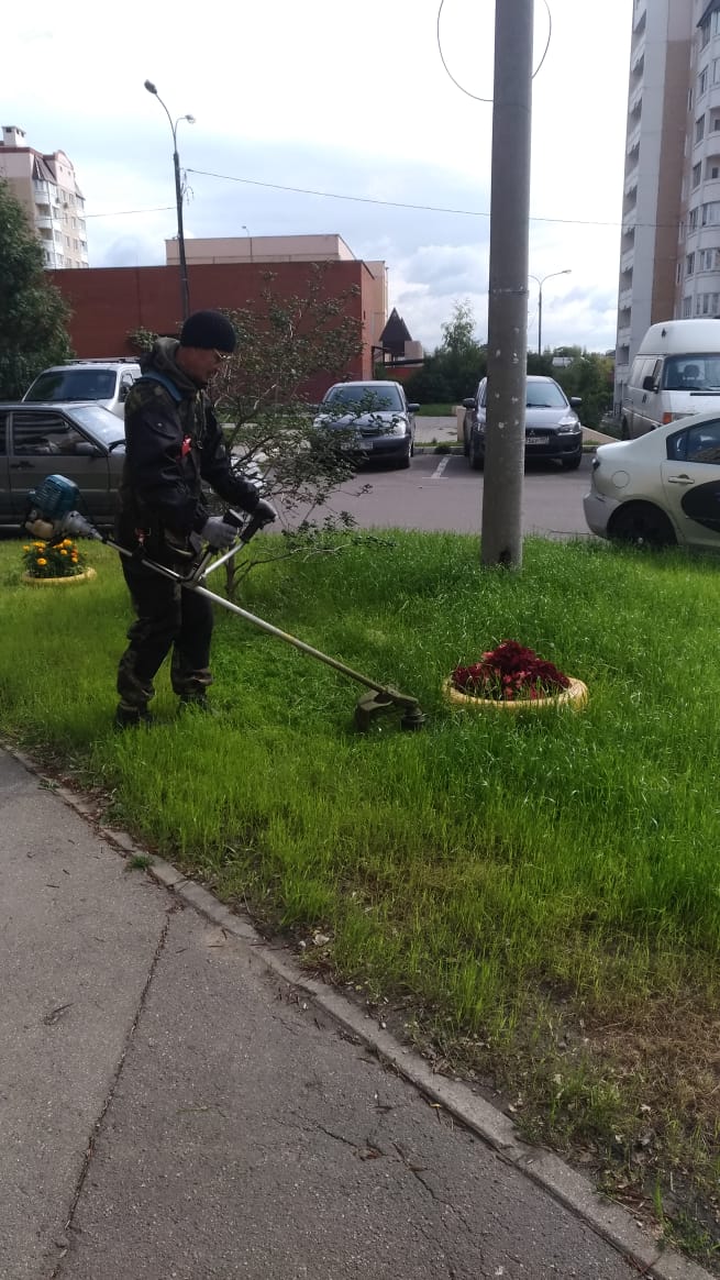 Выполнены работы по покосу травы на придомовой территории многоквартирного дома 43 поселка Развилка.