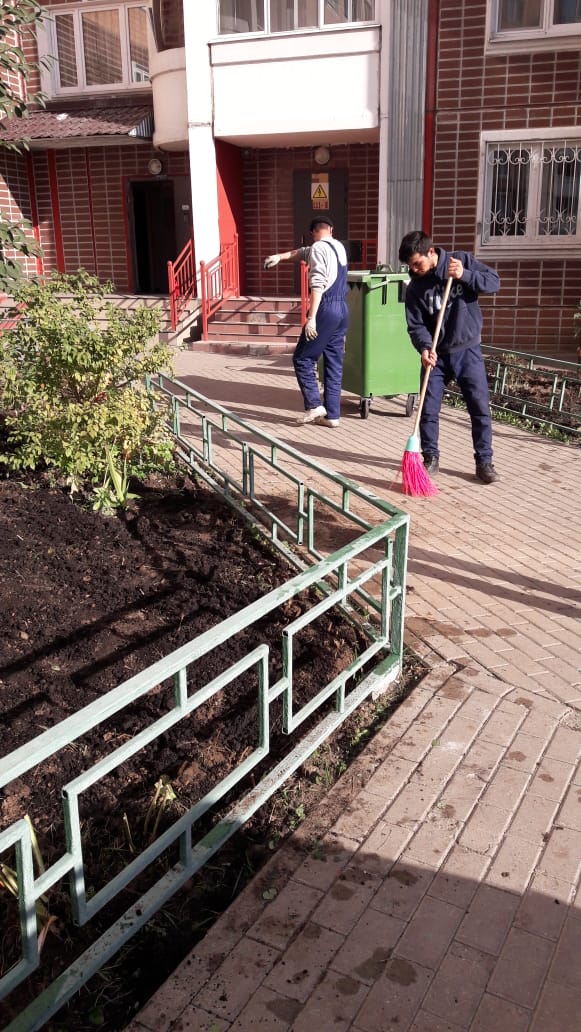 В рамках благоустройства территории выполнена посадка саженцев  цветочных многолетников. 