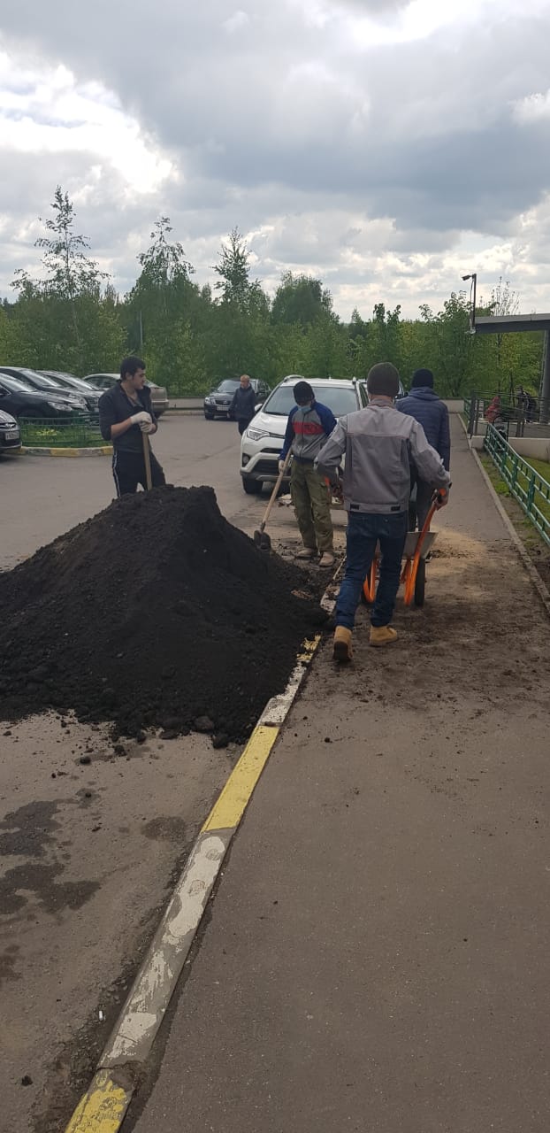 В рамках работ по озеленению и благоустройству придомовой территории завезено 6 кубов плодородного грунта по адресу: г. Видное, Битцевский проезд, д.9.